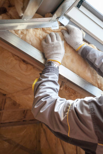 Best Insulation for New Construction  in Provo, UT