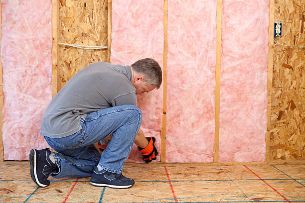 Best Insulation Contractors for Homes  in Provo, UT
